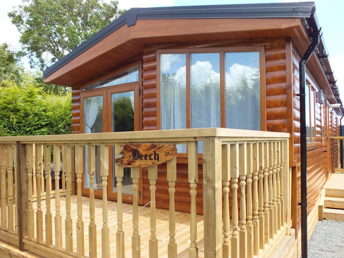 Beech Villa Swanage Eksteriør bilde